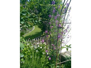 Ferienwohnung Sipplingen Außenaufnahme 28