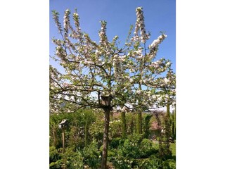 Ferienwohnung Sipplingen Außenaufnahme 30