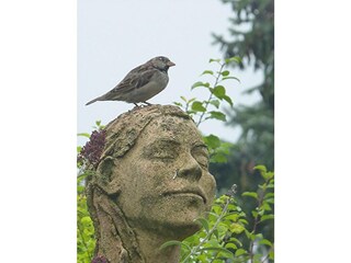 Ferienwohnung Sipplingen Außenaufnahme 34