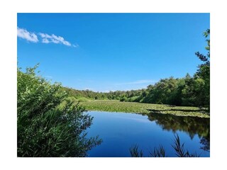 Ferienwohnung Sahlenburg Außenaufnahme 19