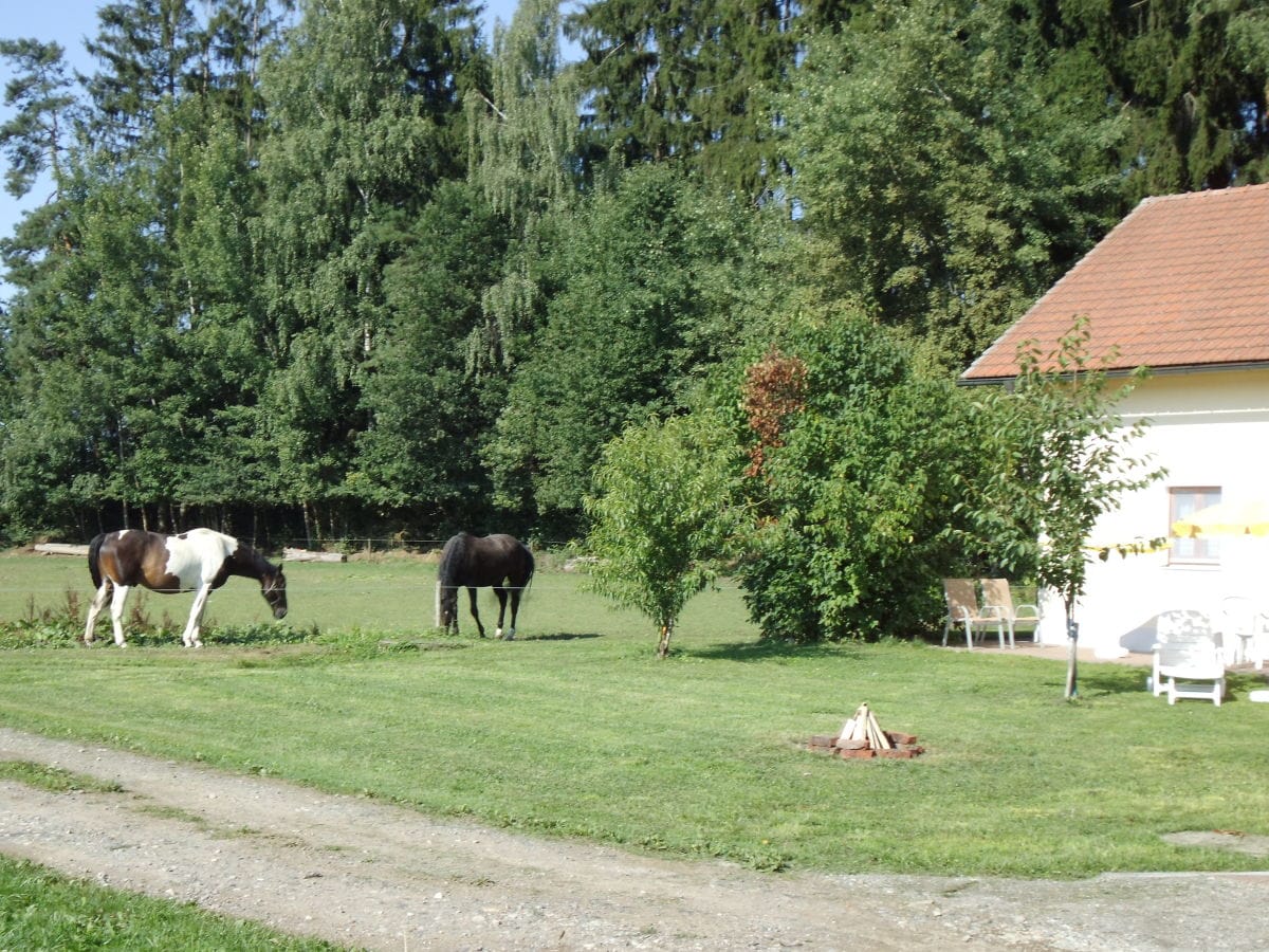 Ferienhaus Treffelstein Außenaufnahme 7