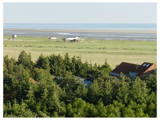 Ferienwohnung St. Peter-Ording Außenaufnahme 8