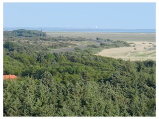 Ferienwohnung St. Peter-Ording Außenaufnahme 9
