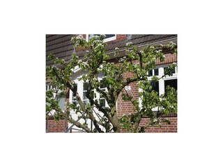 Ferienwohnung Duhnen Außenaufnahme 2