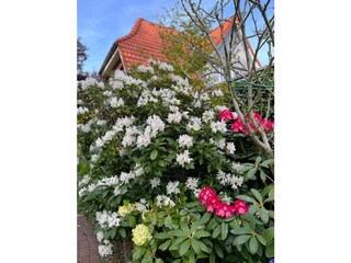 Ferienwohnung St. Peter-Ording Außenaufnahme 15