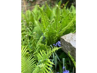 Ferienwohnung St. Peter-Ording Außenaufnahme 18