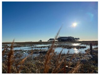 Ferienwohnung St. Peter-Ording Außenaufnahme 22