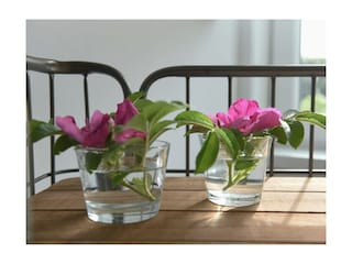 Ferienwohnung Utersum Außenaufnahme 13
