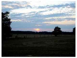 Ferienwohnung Ahlbeck (Usedom) Außenaufnahme 22