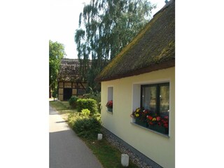 Ferienwohnung Ahlbeck (Usedom) Außenaufnahme 32