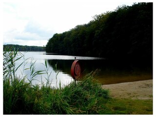 Ferienwohnung Ahlbeck (Usedom) Außenaufnahme 34