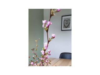 Ferienwohnung St. Peter-Ording Außenaufnahme 11