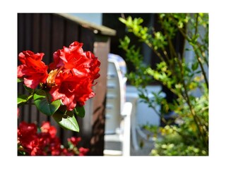Ferienwohnung St. Peter-Ording Außenaufnahme 8