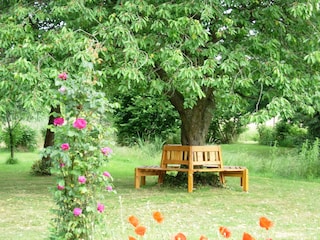 Appartamento per vacanze Wölpinghausen Registrazione all'aperto 5