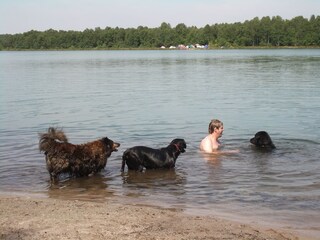 Appartamento per vacanze Wölpinghausen Ambiente 20