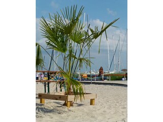 Ferienwohnung Grömitz Außenaufnahme 13