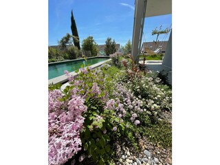 Ferienwohnung Bodman-Ludwigshafen Außenaufnahme 6