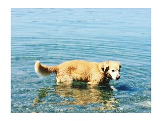 Ferienwohnung Bodman-Ludwigshafen Außenaufnahme 21