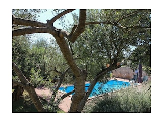 Ferienwohnung Pavićini Außenaufnahme 27