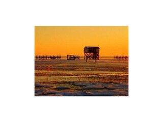 Ferienwohnung St. Peter-Ording Außenaufnahme 14