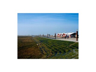 Ferienwohnung St. Peter-Ording Außenaufnahme 15