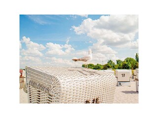 Ferienwohnung Boltenhagen Außenaufnahme 16