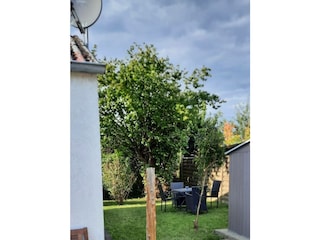 Ferienwohnung Scharbeutz Außenaufnahme 7