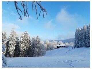 Ferienwohnung Hahnenklee Außenaufnahme 13