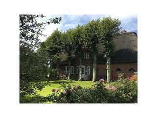 Ferienwohnung Borgsum Außenaufnahme 5