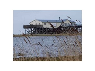 Ferienwohnung St. Peter-Ording Außenaufnahme 1