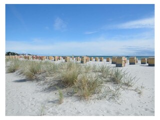 Ferienwohnung Grömitz Außenaufnahme 16