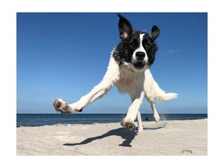 Ferienwohnung Grömitz Außenaufnahme 21