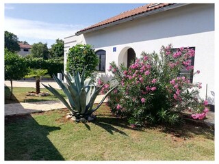 Ferienwohnung Pavićini Außenaufnahme 3