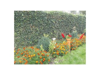 Ferienwohnung Stavenisse Außenaufnahme 24