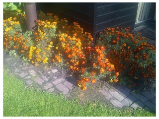 Ferienwohnung Stavenisse Außenaufnahme 25