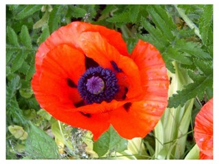 Ferienwohnung Stavenisse Außenaufnahme 28