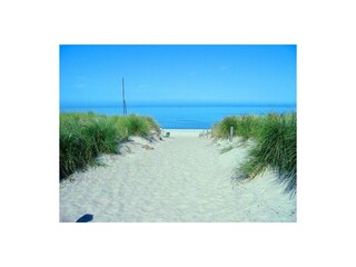 Ferienwohnung Boltenhagen Außenaufnahme 11