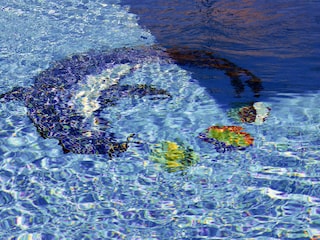 Ferienwohnung Basanija Schwimmbad 22