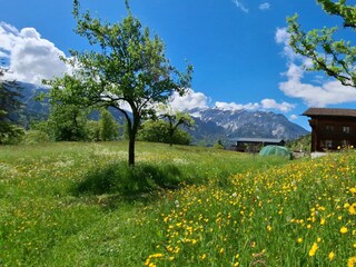 Haus und Hühnerstall