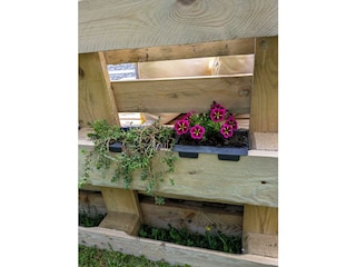 Blumen
