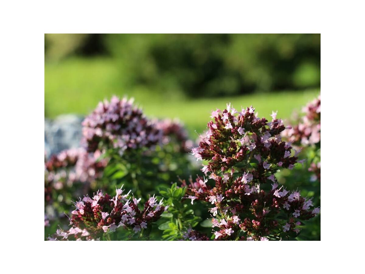 Natur erleben