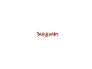 Logo_Appartmets_Suggadin3psd