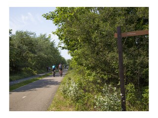 Vakantiehuis Noordwijk Omgeving 15