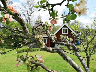 Ferienhaus Holmsjö Außenaufnahme 2