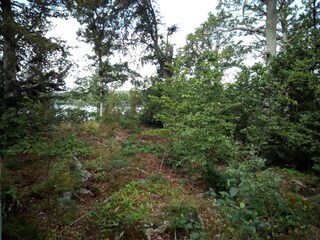 Vakantiehuis Holmsjö  18