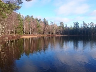Ferienhaus Holmsjö  35