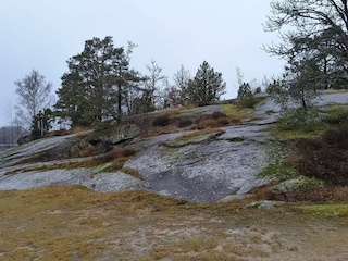 Ferienhaus Holmsjö  29
