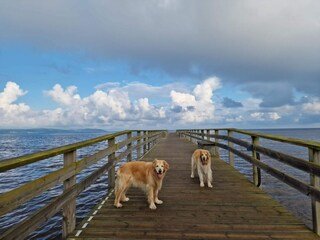 Casa per le vacanze Laholm  31