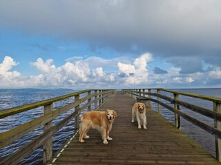 Casa per le vacanze Laholm  33