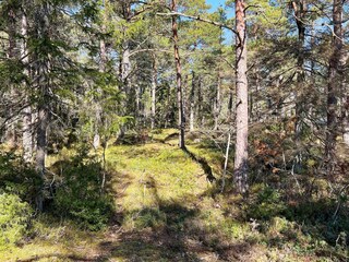 Ferienhaus Värmdö  24